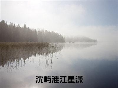 沈屿淮江星漾免费版最新更新阅读-沈屿淮江星漾小说全文在线阅读