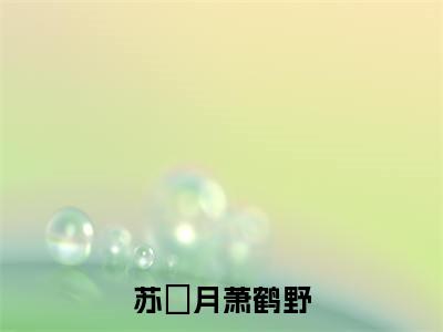 苏媞月萧鹤野全文免费阅读无弹窗大结局_萧鹤野苏媞月无弹窗全文阅读