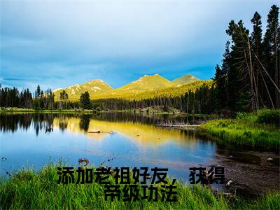 添加老祖好友，获得帝级功法（林枫）全文免费阅读无弹窗大结局_添加老祖好友，获得帝级功法免费阅读无弹窗最新章节列表_笔趣阁