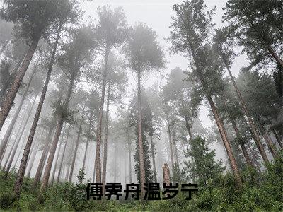 傅霁舟温岁宁（温岁宁傅霁舟）全文免费阅读无弹窗大结局_（温岁宁傅霁舟）小说免费阅读最新章节列表