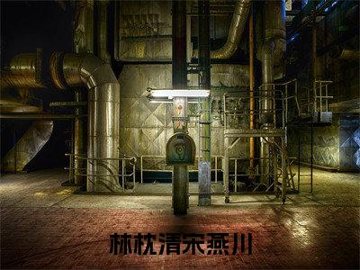 林枕清宋燕川全文免费在线阅读_（林枕清宋燕川全文免费阅读无弹窗大结局）
