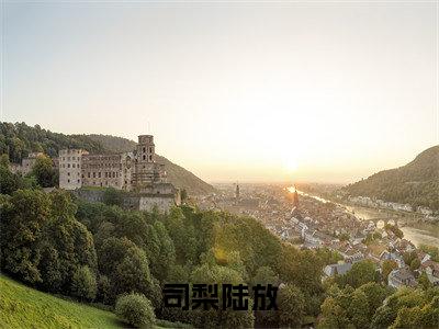 司梨陆放全文免费阅读（司梨陆放免费阅读无弹窗）司梨陆放最新章节列表_笔趣阁
