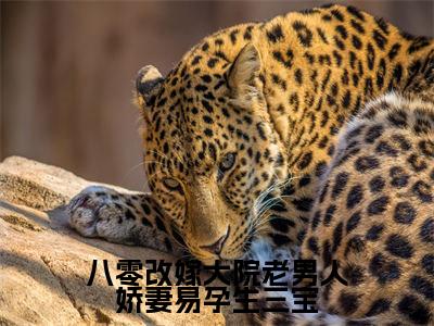 程锦亭司文澜（八零改嫁大院老男人娇妻易孕生三宝）全文免费阅读无弹窗大结局_八零改嫁大院老男人娇妻易孕生三宝小说最新章节列表_笔趣阁（程锦亭司文澜）
