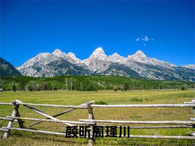 颜昕周瑾川小说（周瑾川颜昕）全文免费阅读无弹窗大结局_（周瑾川颜昕免费阅读）最新章节列表_笔趣阁（周瑾川颜昕）