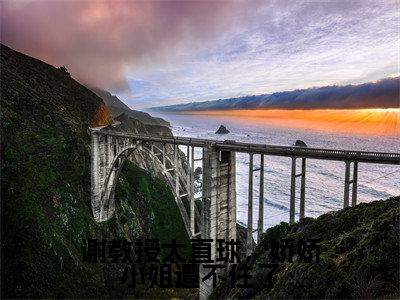 谢教授太直球，娇娇小姐遭不住了谢宴宁苏绾晚小说全文在线阅读无弹窗大结局_（谢宴宁苏绾晚全文在线阅读无弹窗）