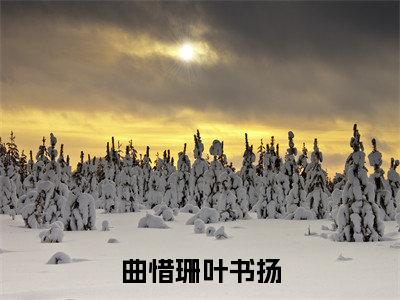 曲惜珊叶书扬全文免费阅读_（叶书扬曲惜珊免费阅读无弹窗）曲惜珊叶书扬高赞小说阅读
