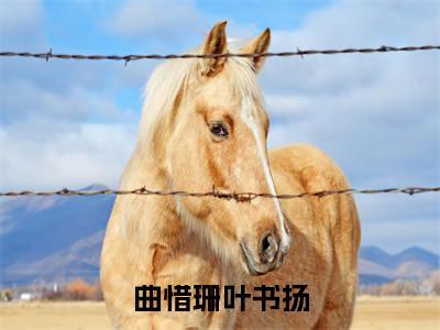 曲惜珊叶书扬小说全文免费阅读无弹窗大结局_曲惜珊叶书扬最新章节列表_笔趣阁