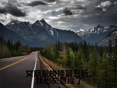 女朋友榜矮富丑后，我心灰意冷了（何源苏妍）全文免费阅读无弹窗大结局_（何源苏妍）小说免费阅读最新章节列表