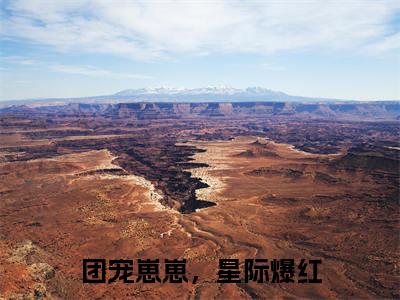 团宠崽崽，星际爆红热门推荐小说（陆黎栀）精彩章节阅读-团宠崽崽，星际爆红全文免费在线阅读_笔趣阁