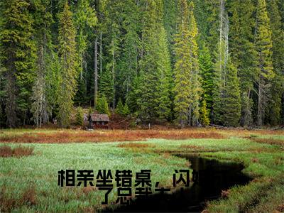 小说相亲坐错桌，闪婚成了总裁夫人（安柠宴时琛）全文免费阅读-最火热门小说相亲坐错桌，闪婚成了总裁夫人最新章节更新