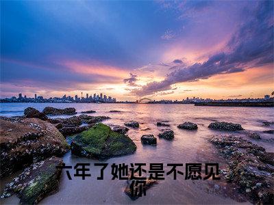 六年了她还是不愿见你（谢靖承池念）全文免费阅读无弹窗大结局_六年了她还是不愿见你免费阅读无弹窗最新章节列表