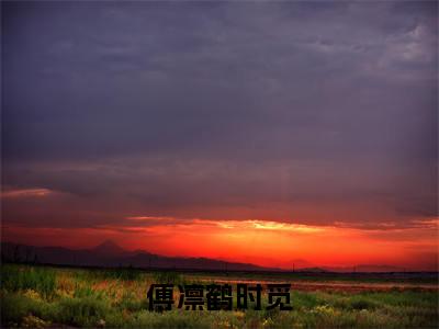 傅凛鹤时觅（时觅傅凛鹤小说）小说全文免费阅读_时觅傅凛鹤小说下载_最新章节列表笔趣阁（傅凛鹤时觅）