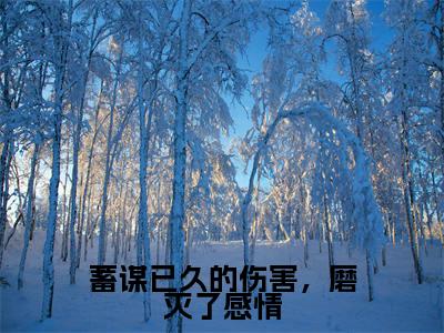 纪洛森江诗唯全文免费阅读大结局-蓄谋已久的伤害，磨灭了感情结局免费阅读