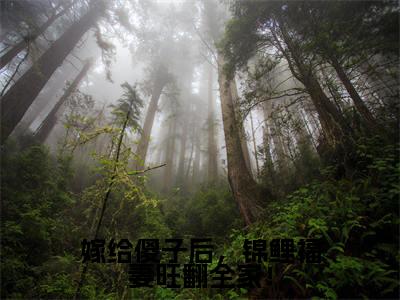 崔雨露全文（嫁给傻子后，锦鲤福妻旺翻全家！）全文免费阅读无弹窗大结局_嫁给傻子后，锦鲤福妻旺翻全家！免费最新章节列表_笔趣阁
