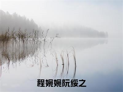 程婉婉阮绥之小说在线阅读-主角叫程婉婉阮绥之的小说（程婉婉阮绥之）完整版免费阅读全文