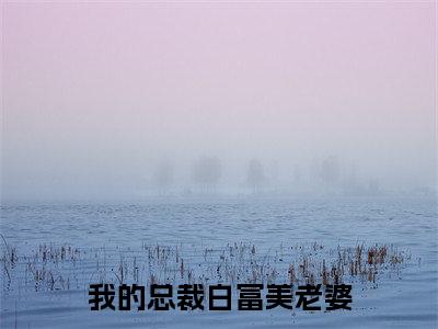我的总裁白富美老婆（高起强杨清雪）在线阅读-我的总裁白富美老婆小说高起强杨清雪完整版免费阅读