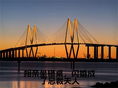 相亲坐错桌，闪婚成了总裁夫人是什么小说，相亲坐错桌，闪婚成了总裁夫人（安柠宴时琛）完整章节在线阅读