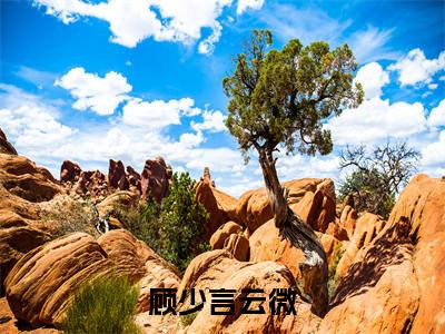 云微顾少言今日阅读更新，顾少言云微全文在线看