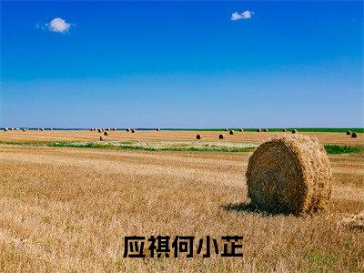 应祺何小芷小说（应祺何小芷）全文免费阅读无弹窗大结局_（应祺何小芷）应祺何小芷小说免费阅读最新章节列表