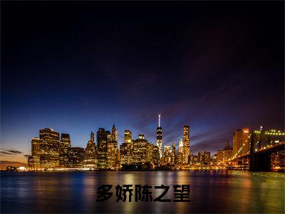 多娇陈之望（苏娘子陈之望）全文免费阅读无弹窗大结局_（苏娘子陈之望）小说免费阅读最新章节列表