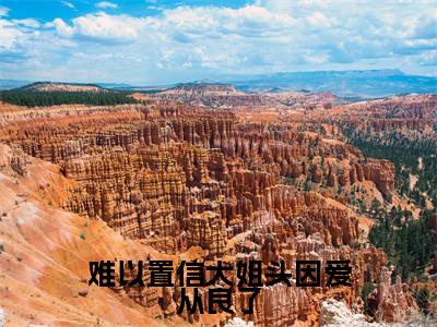 难以置信大姐头因爱从良了免费阅读全文免费阅读无弹窗大结局_（林清雾陆延生小说免费阅读）难以置信大姐头因爱从良了最新章节阅读