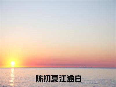 小说陈初夏江逾白全文免费阅读无弹窗大结局-陈初夏江逾白在线阅读