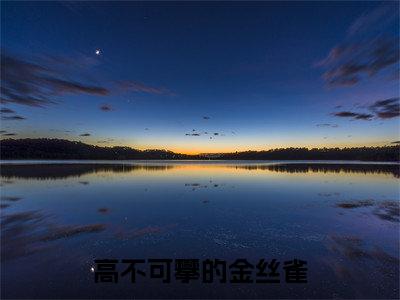 高不可攀的金丝雀小说:（高不可攀的金丝雀）全文免费阅读无弹窗大结局_邵贺贺小说:高不可攀的金丝雀最新章节列表