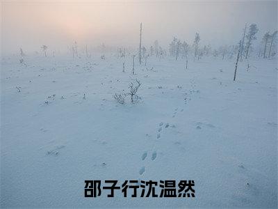 邵子行沈温然（沈温然邵子行）最新免费小说-沈温然邵子行（邵子行沈温然）全文全章节免费阅读