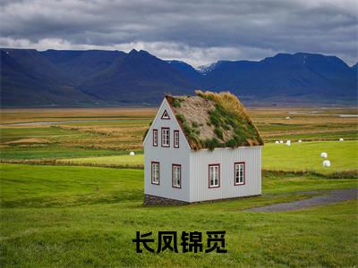 长凤锦觅全文免费阅读无弹窗，锦觅长凤小说最新章节列表无删减_笔趣阁