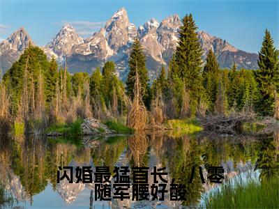 叶清桃顾景明（闪婚最猛首长，八零随军腰好酸）完整版小说阅读-叶清桃顾景明小说（闪婚最猛首长，八零随军腰好酸）精彩免费试读
