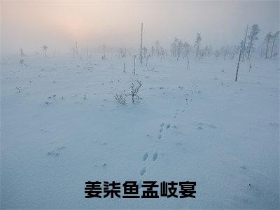 姜柒鱼孟岐宴小说全文（姜柒鱼孟岐宴）全文免费阅读无弹窗大结局_姜柒鱼孟岐宴全文免费阅读无弹窗最新章节列表