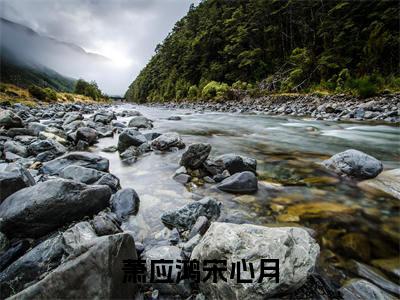 宋心月萧应鸿（萧应鸿宋心月）全文免费阅读无弹窗大结局_（萧应鸿宋心月小说免费阅读）_笔趣阁