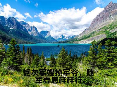 （宁禾）全文免费阅读无弹窗大结局_炮灰军嫂撩军爷，随军养崽样样行最新章节列表_笔趣阁