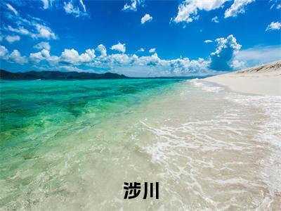 连翘秦封小说涉川全文免费阅读无弹窗-正版小说连翘秦封全文阅读（后续+免费）
