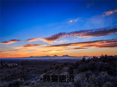 唐淑林宴（林宴唐淑）全文免费阅读-（唐淑林宴）林宴唐淑最新章节小说阅读-笔趣阁