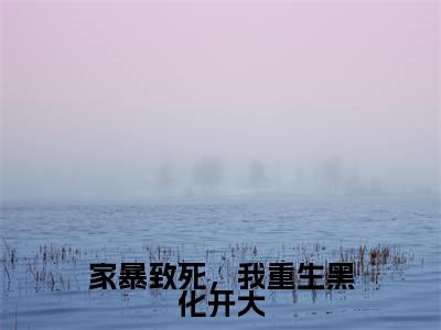 家暴致死，我重生黑化开大（沈宁）全文免费阅读无弹窗大结局_沈宁最新章节列表_笔趣阁