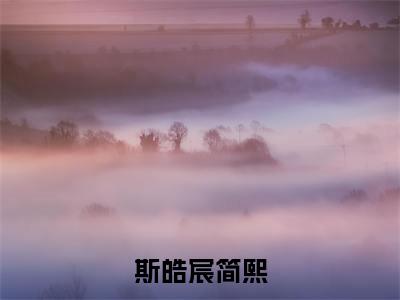 《斯皓宸简熙完整小说》简熙斯皓宸完结版全章节阅读