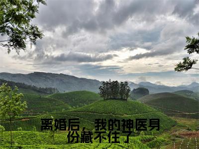 离婚后，我的神医身份藏不住了（秦风）全文免费阅读无弹窗-（离婚后，我的神医身份藏不住了）秦风小说全文在线赏析