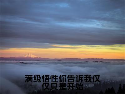 满级悟性你告诉我仅仅只是开始新书热荐免费小说叶真全文完整版-叶真小说全文无删减版免费阅读