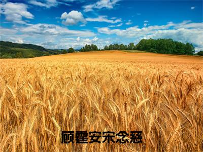 顾霆安宋念慈：宋念慈顾霆安全文免费阅读无弹窗大结局_（顾霆安宋念慈）宋念慈顾霆安最新章节列表笔趣阁