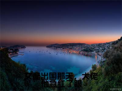 女配出国那天，大佬他急红了眼（叶知音霍君夜）精彩小说-叶知音霍君夜全章节免费阅读