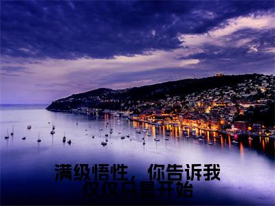 满级悟性，你告诉我仅仅只是开始叶真小说免费阅读-满级悟性，你告诉我仅仅只是开始抖音新书热荐