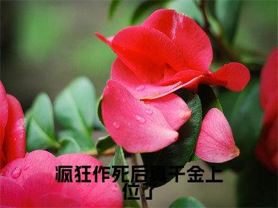 （热推新书）《疯狂作死后真千金上位了》沈舒白无弹窗阅读_疯狂作死后真千金上位了最新章节列表_笔趣阁