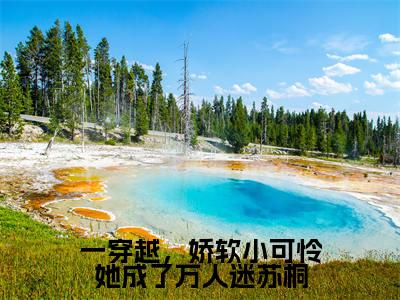 一穿越，娇软小可怜她成了万人迷苏桐全文（苏桐阿瑟）全文免费阅读无弹窗大结局_一穿越，娇软小可怜她成了万人迷苏桐全文最新章节列表_笔趣阁（苏桐阿瑟）