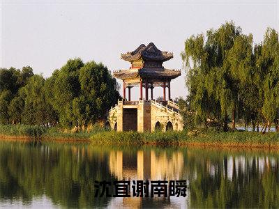 沈宜谢南瞬（沈宜谢南瞬）全文在线阅读无弹窗大结局_（沈宜谢南瞬在线阅读）最新章节列表_笔趣阁