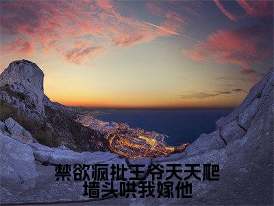 禁欲疯批王爷天天爬墙头哄我嫁他（穆凌霄）免费全文阅读小说_（禁欲疯批王爷天天爬墙头哄我嫁他）穆凌霄最新章节列表-笔趣阁