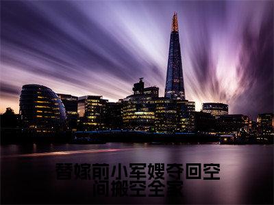 替嫁前小军嫂夺回空间搬空全家小说全文免费阅读_唐心儿（唐心儿）最新章节列表笔趣阁