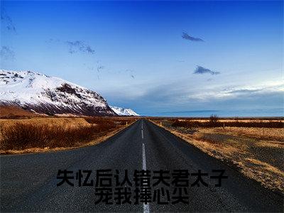 失忆后认错夫君太子宠我捧心尖（苏渺渺）全文免费阅读无弹窗大结局_失忆后认错夫君太子宠我捧心尖最新章节列表_笔趣阁（苏渺渺）