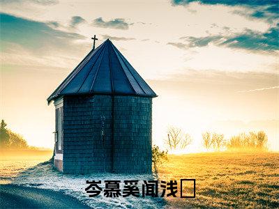 小说《岑慕奚闻浅婼》全文免费阅读无弹窗-闻浅婼岑慕奚小说全文在线赏析