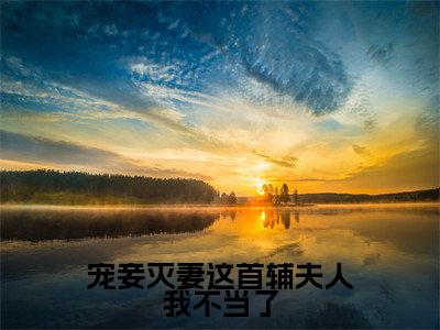 （苏青玉云奕霄）宠妾灭妻这首辅夫人我不当了全文免费阅读无弹窗_（宠妾灭妻这首辅夫人我不当了小说免费阅读）最新章节列表笔趣阁